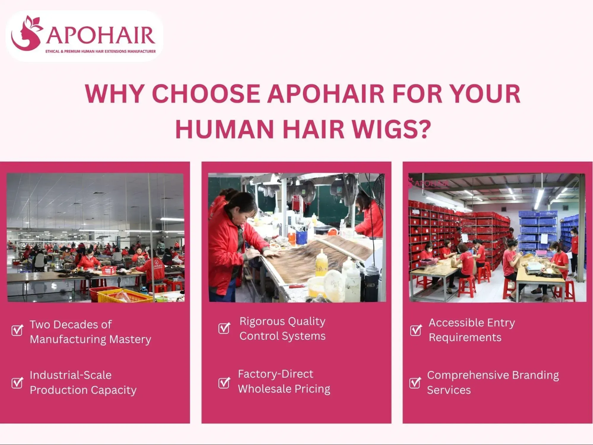 APOHAIR's excellence extends to every part of our wholesale partnership