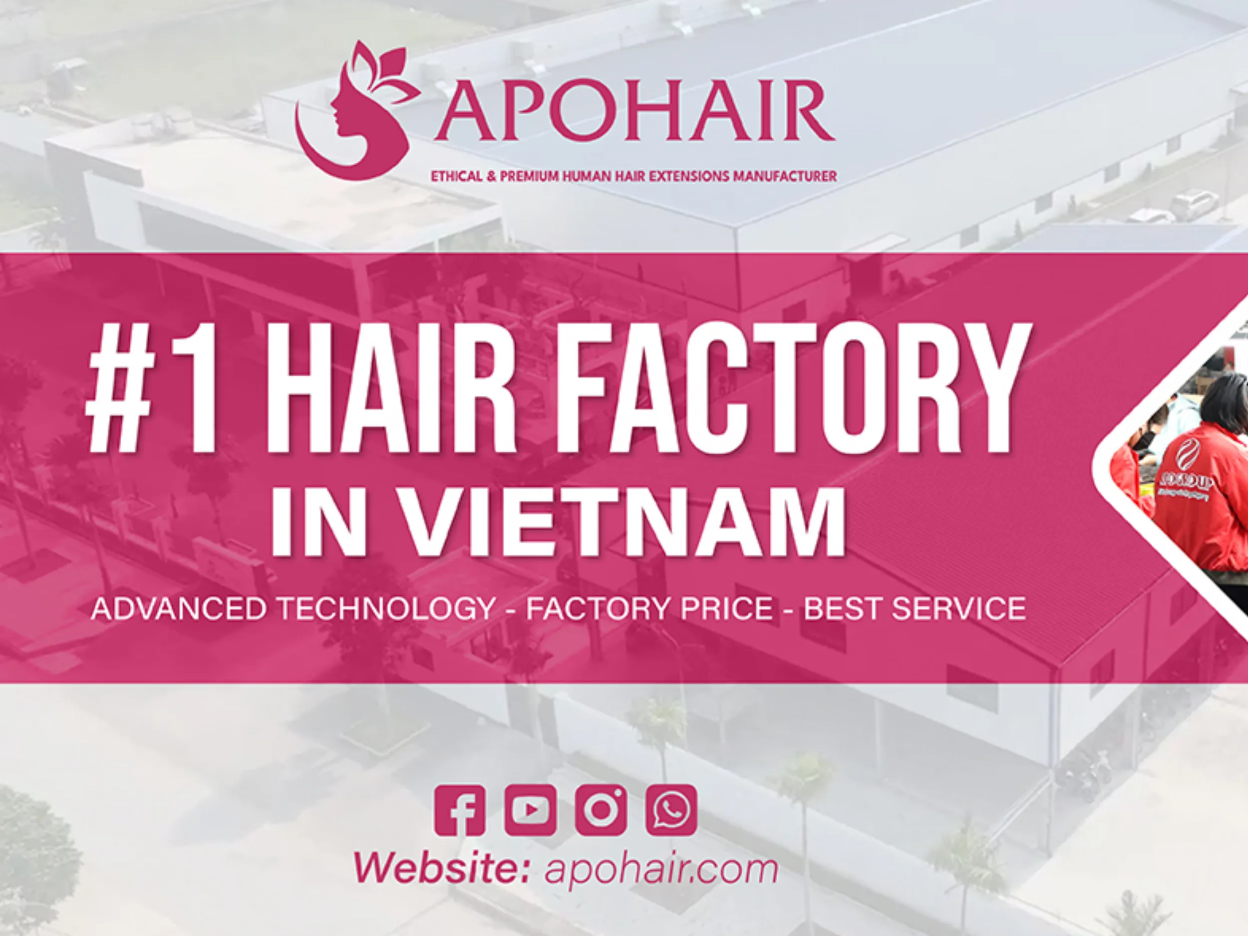 apohair human hair wig vendor