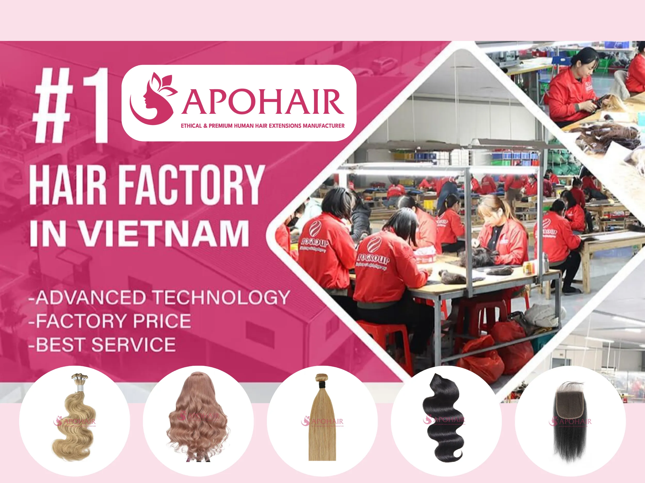 apohair raw hair suppliers