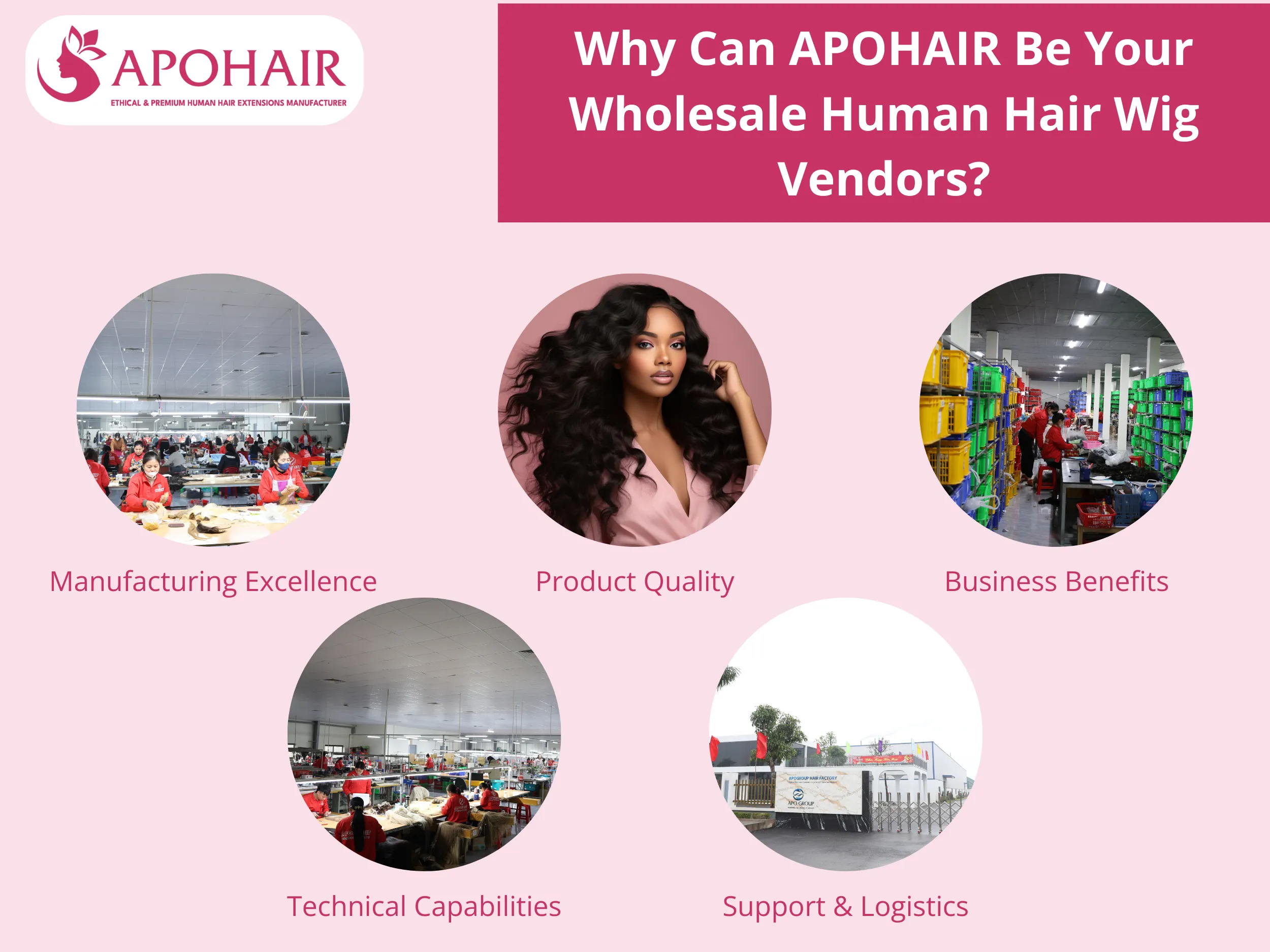 choose apohair for human hair wig