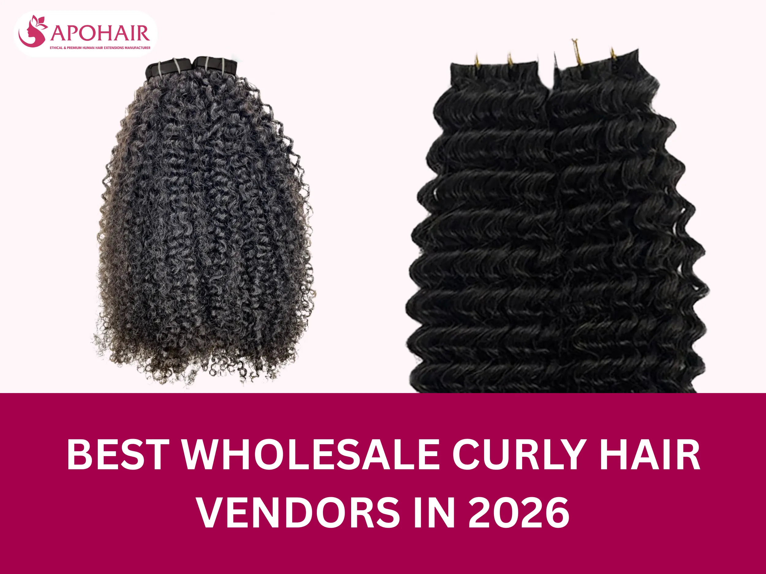 Choosing trusted curly hair vendors ensures premium quality, verified origins, and long-term success in 2026
