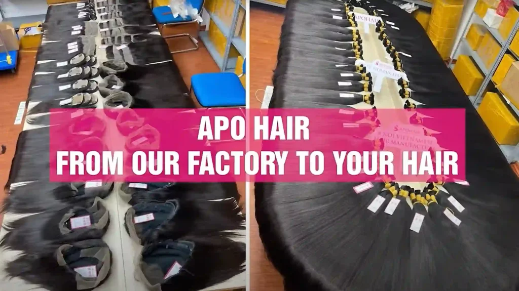 apohair - number 1 wholesale vietnamese human hair factory in vietnam