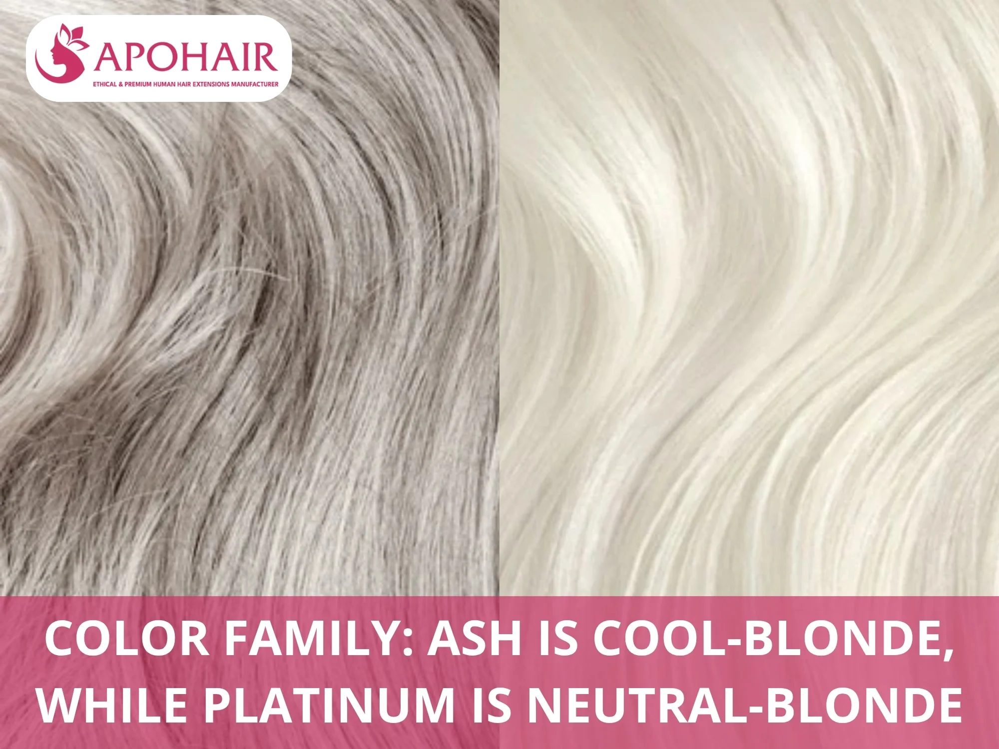 Ash blonde and platinum blonde hair color family comparison