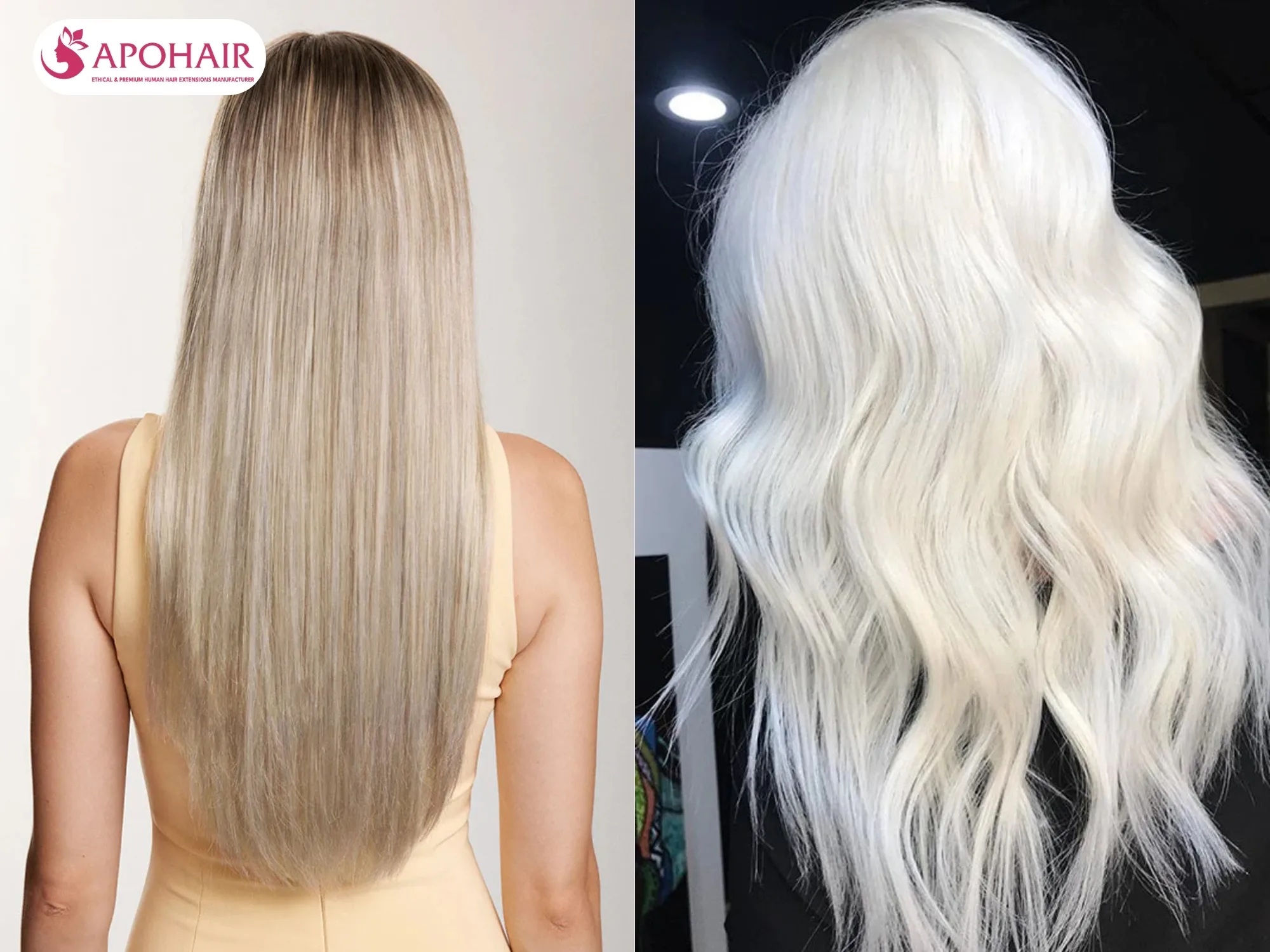 Ash blonde suits simple everyday looks, platinum blonde fits bold fashion styles