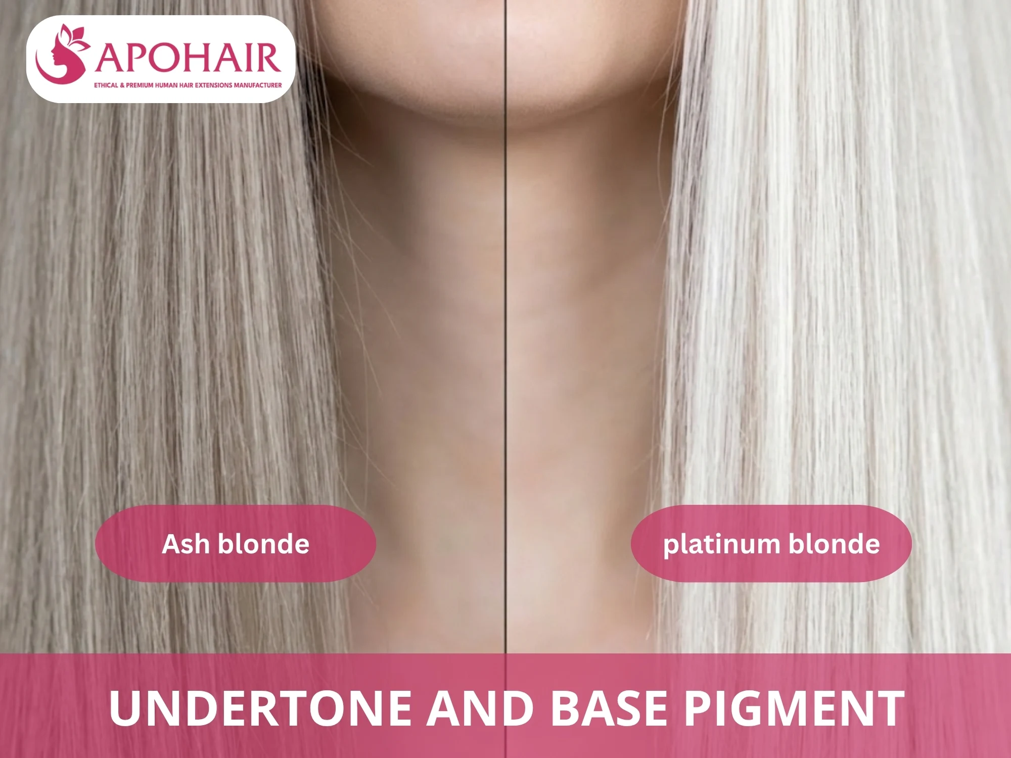 Ash blonde undertone compared with neutral platinum blonde pigment