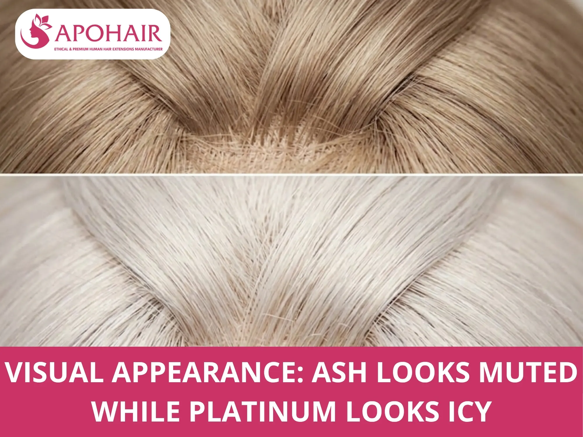 Ash blonde muted tone compared with icy platinum blonde shade