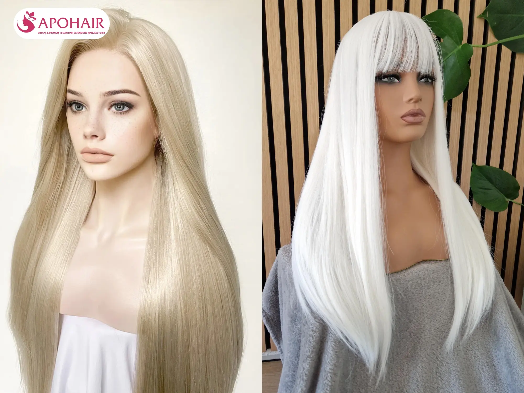 Ash blonde wigs create soft depth, platinum blonde wigs deliver bold contrast