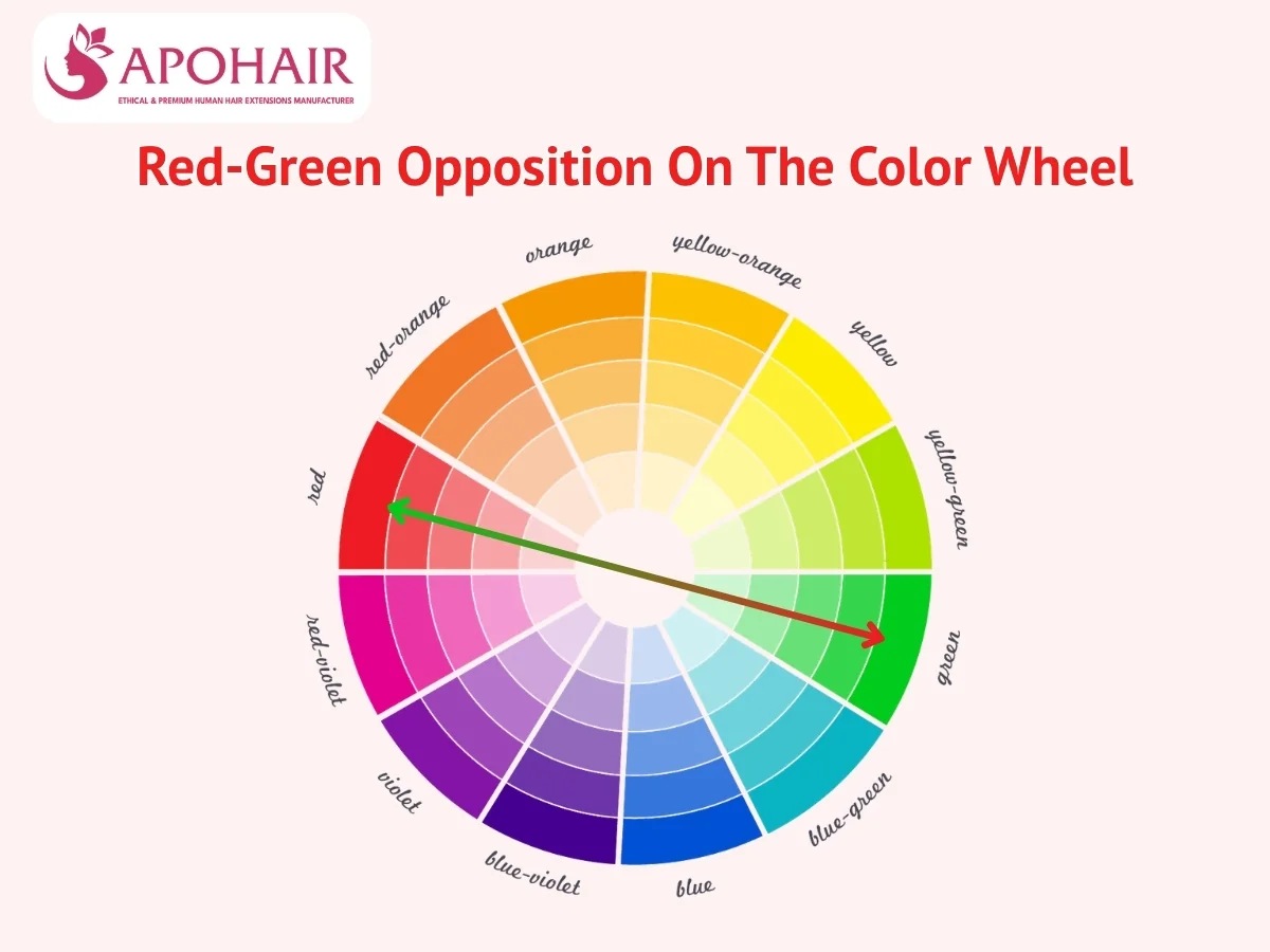 color wheel diagram showing green cancels out red hair on opposite position