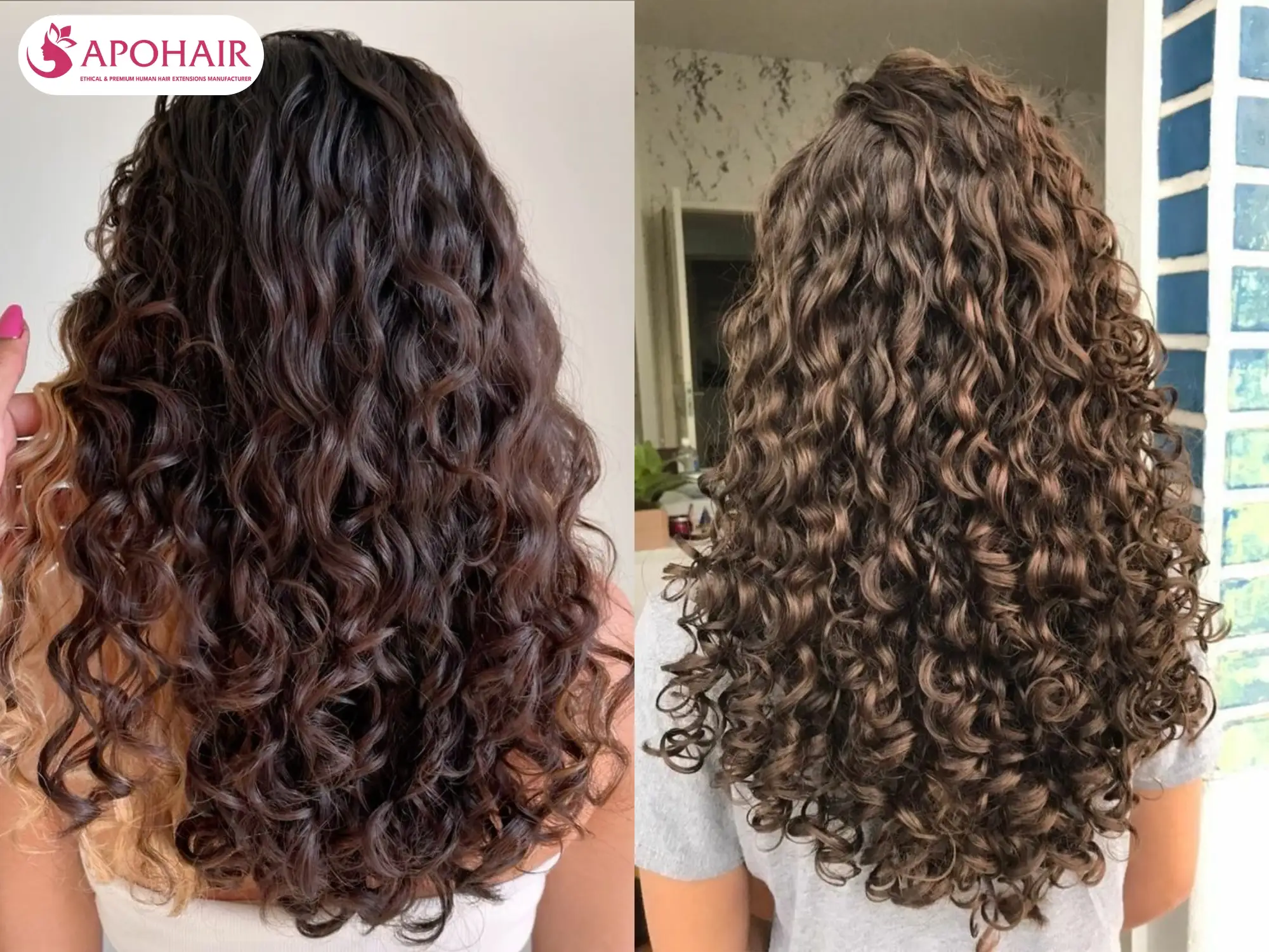 2C vs 3A hair moisture retention comparison showing oily roots and drier curl ends