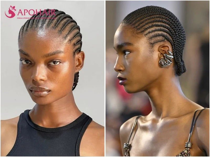 Micro cornrows with many thin rows packed closely across the head