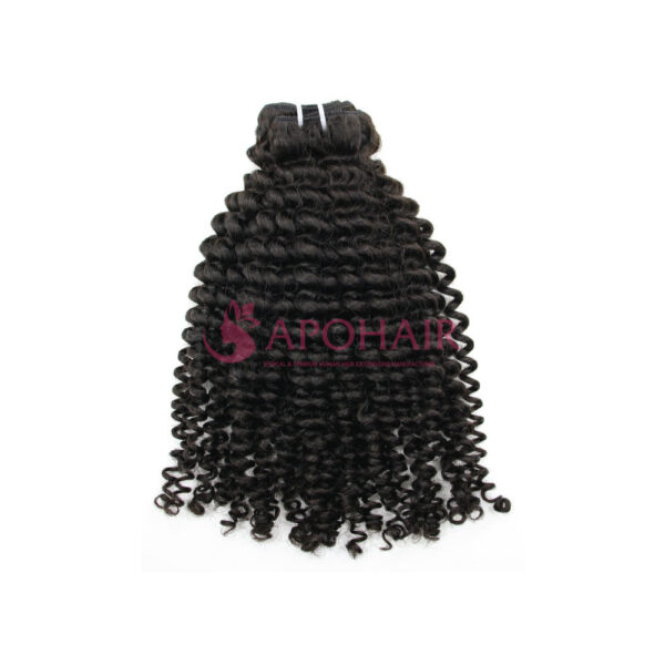 Black Deep Curly Machine Weft